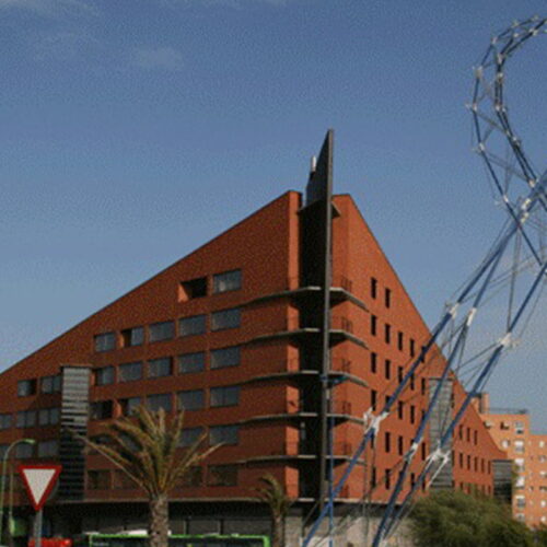 grandes proyectos universitarios